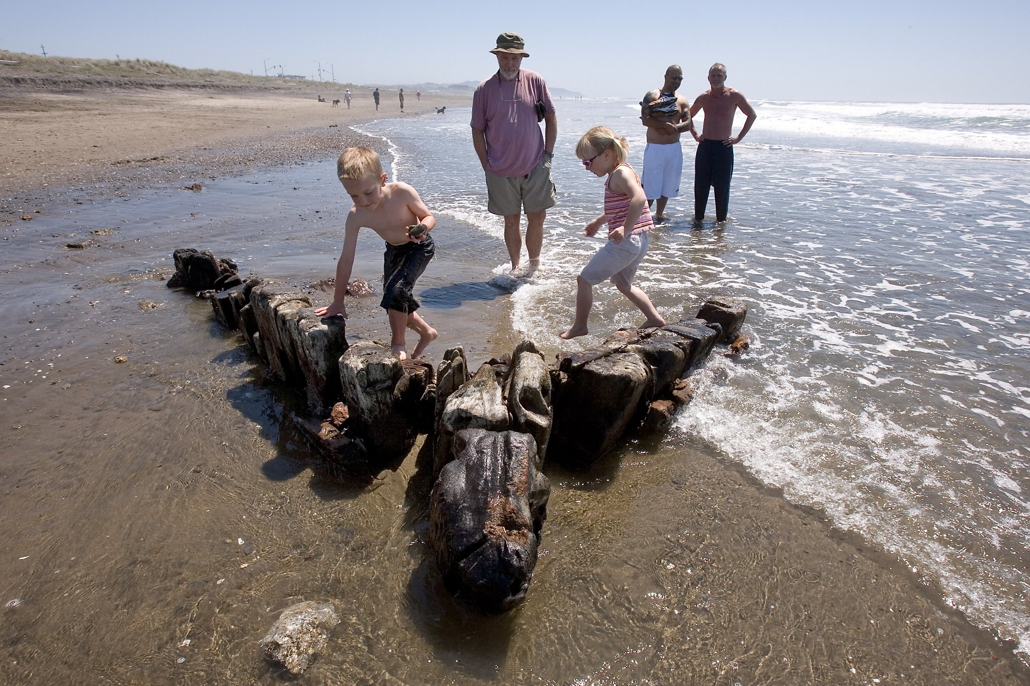 Where to check out minus tides along the Pacific coast