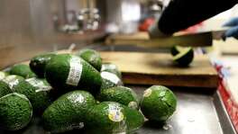 U.S. Customs and Border Protection agriculture inspectors cut open avocados from a sample bag and look for insects at the Pharr-Reynosa International Bridge, Tuesday, Jan. 19, 2016. The avocados are labeled with information on the individual farms they were grown. With new infrastructure built in Mexico, growers from that country have seen that it is less expensive to ship their produce through Texas, especially, Pharr, to reach markets in the Northern states. The Pharr port is on trend to surpass Nogales, Arizona as the single largest entry point for imports of Mexican fresh produce.