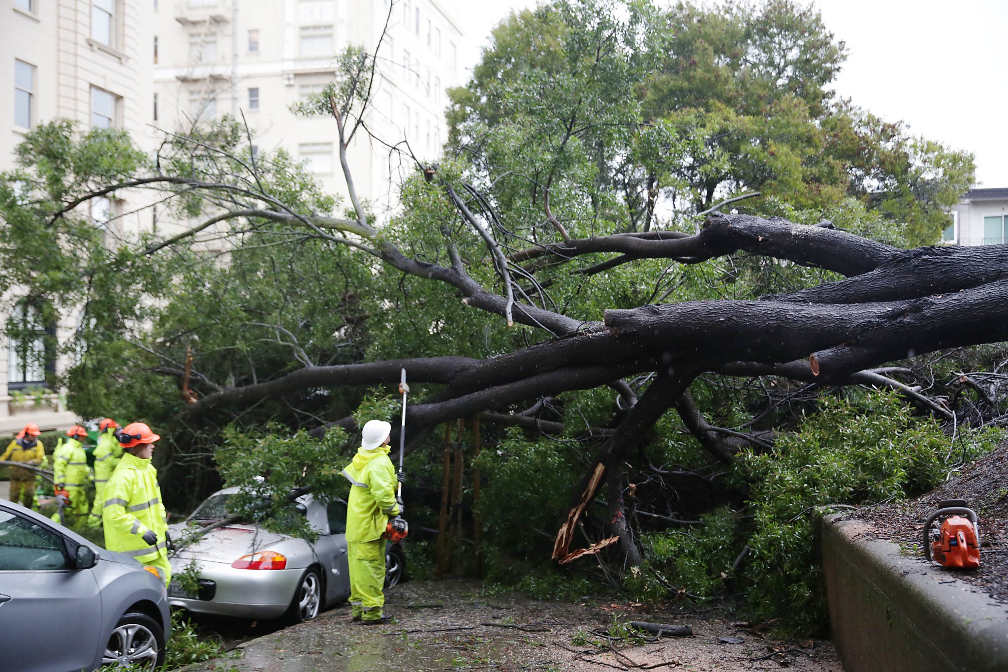 50 mph gusts set to smack Bay Area