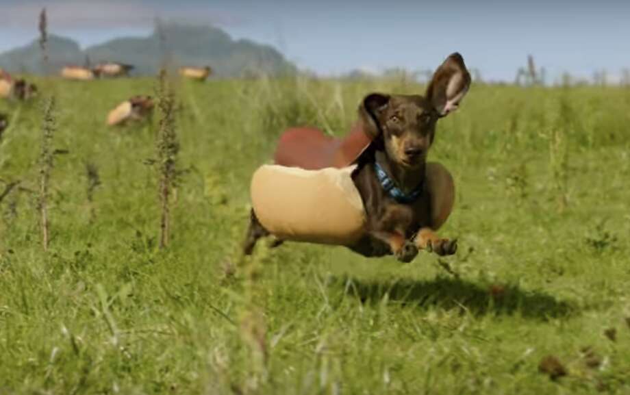 This Heinz ad featuring a dachshund stampede already wins for cutest