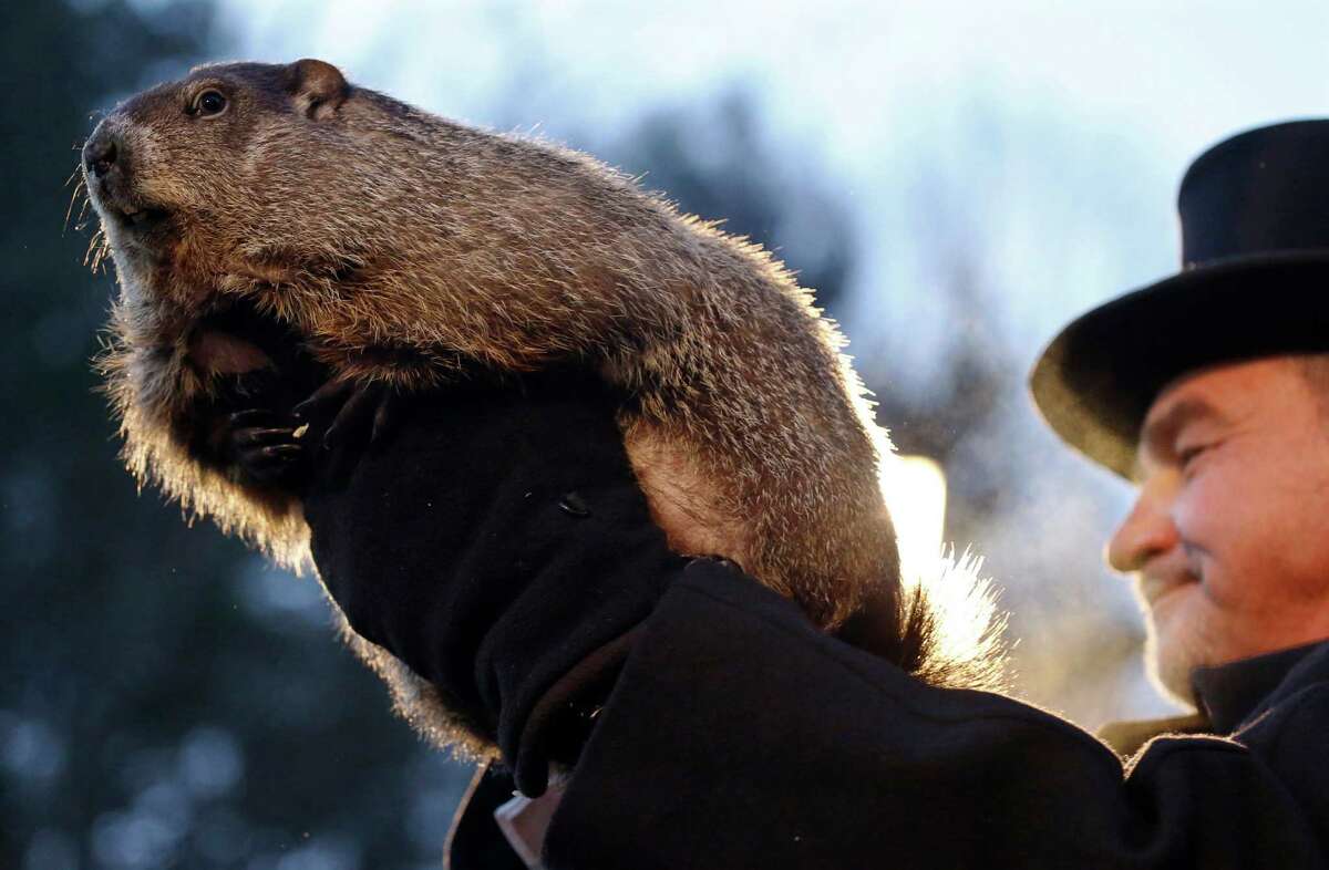 9 groundhog facts