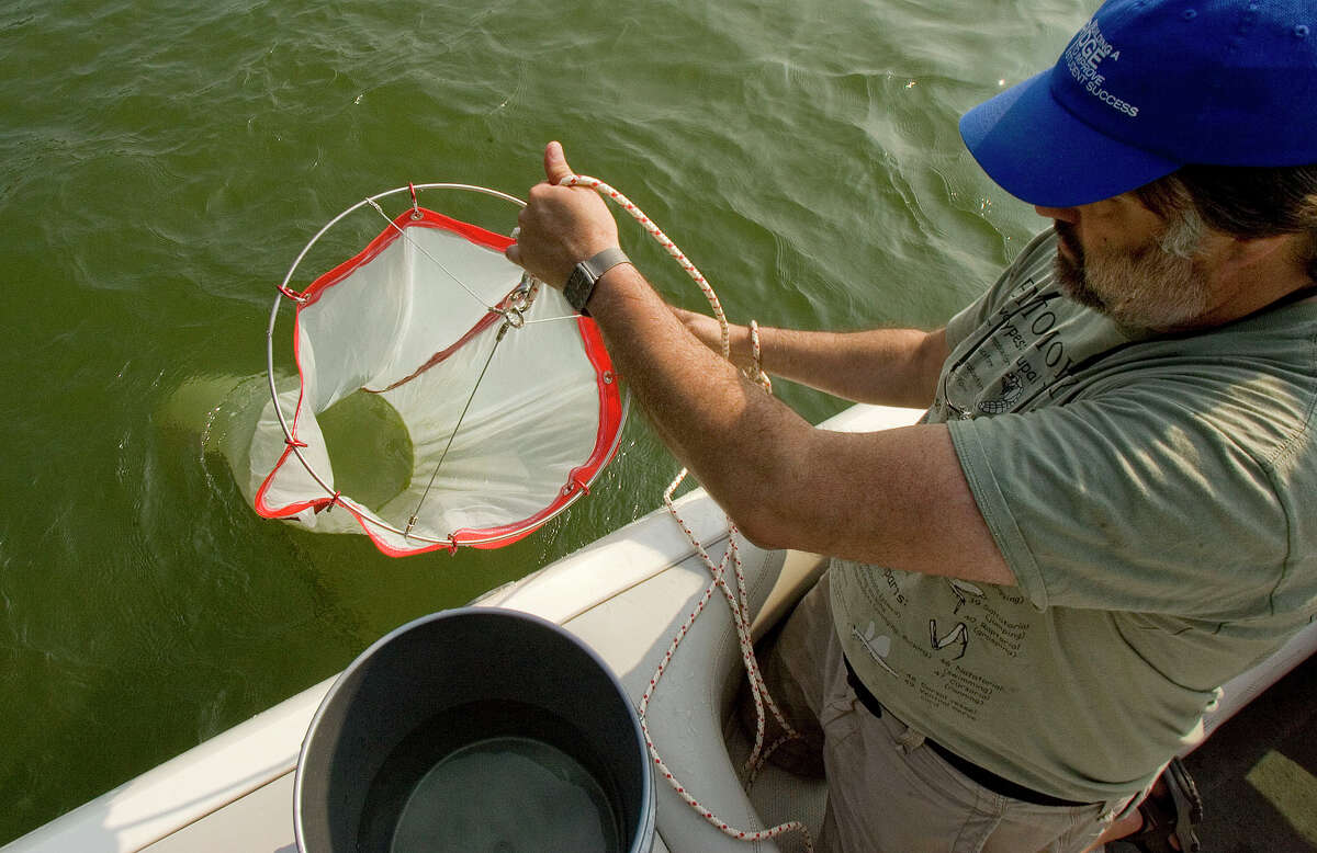 File photo of Mitch Wagener, professor of biology at Western Connecticut State University. Wagener brings in the netting that carries the samples that will tell researchers if zebra mussels in their larval stage are present in Lake Lillinonah on Thursday, July 21, 2011.