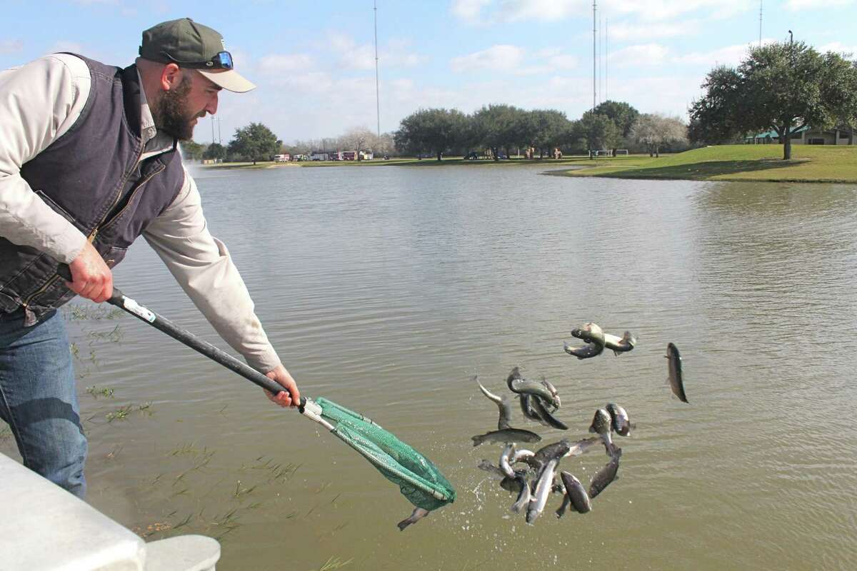 catfishing texas fishing planet