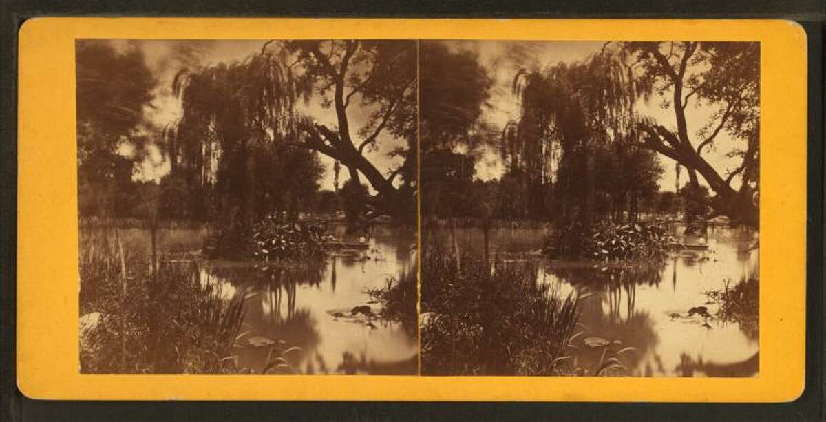 San Antonio RiverStereoscopic view, 1876-1879