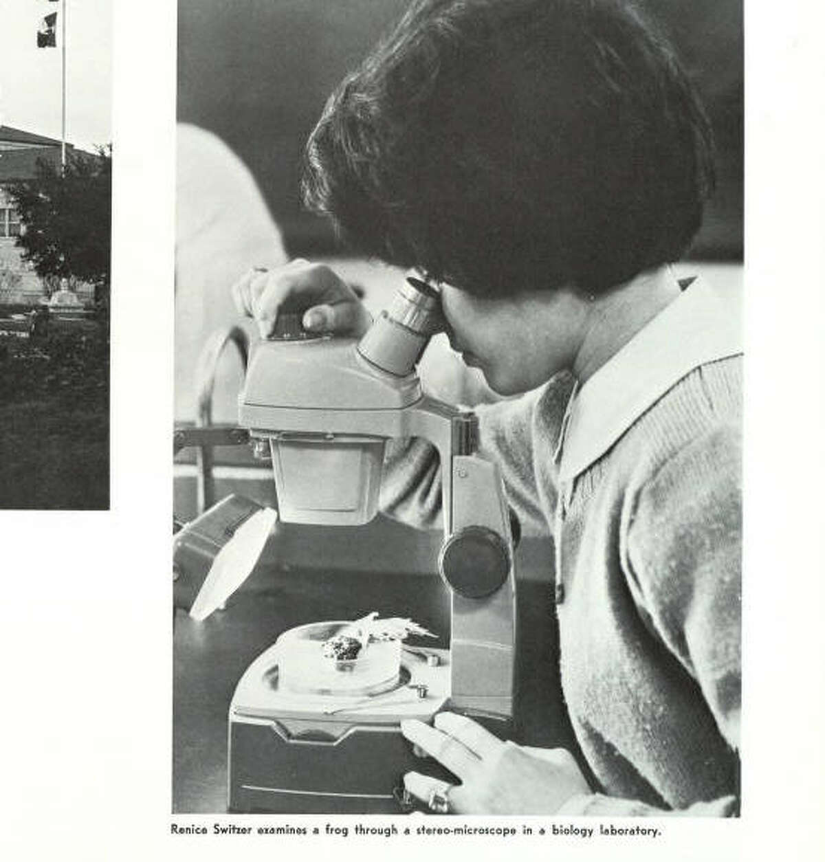 Yep, frogs were still gross/awesome under a microscope in 1966. Via Houstonian 1966.