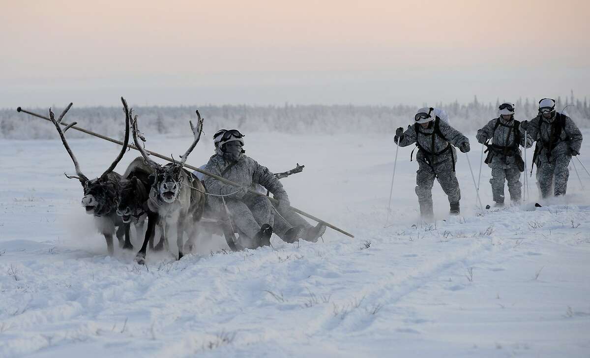 Photos Russian Army Reindeer Sled Teams Are Exactly What They Sound Like