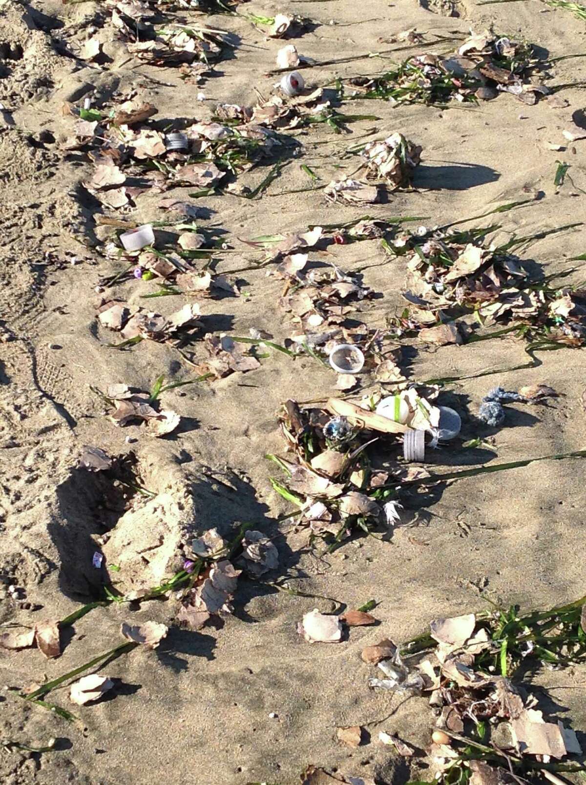 Park officials cleaned up debris that washed ashore Sunday following the Macy’s fireworks show.