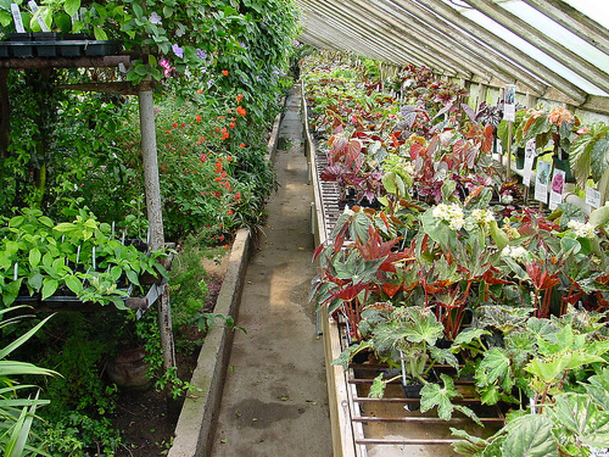 Logee’s in Danielson has six greenhouses for people to explore, all with different themes including the herb house, the long house, the potting house, the fern house, the big house and the lemon tree house.