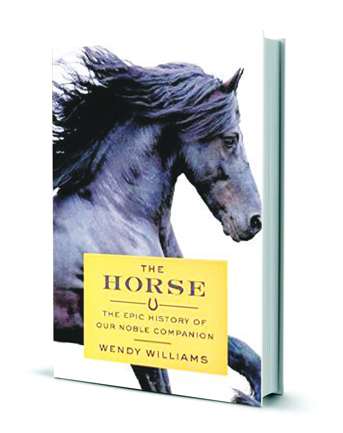 New book examines the history and behavior of horses