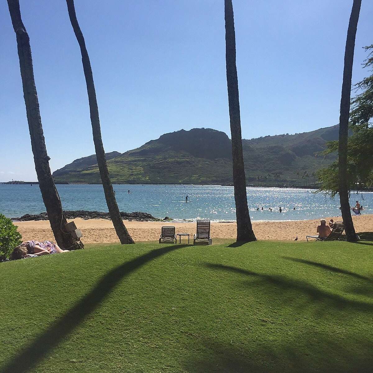 Palm trees and the beach Nawiliwili, Hawaii on a winter's day