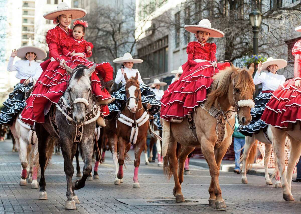 Annual cattle drive through downtown San Antonio is no bull