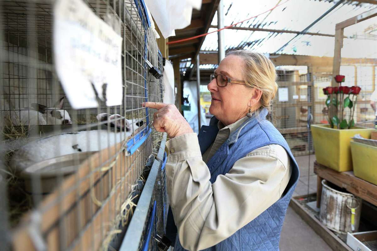 Betty Heacker, owner of Wabash Feed & Garden, checks on young rabbits at her store Friday, Feb. 5, 2016, in Houston. The store will move to a location off North Shepherd. ( Jon Shapley / Houston Chronicle )