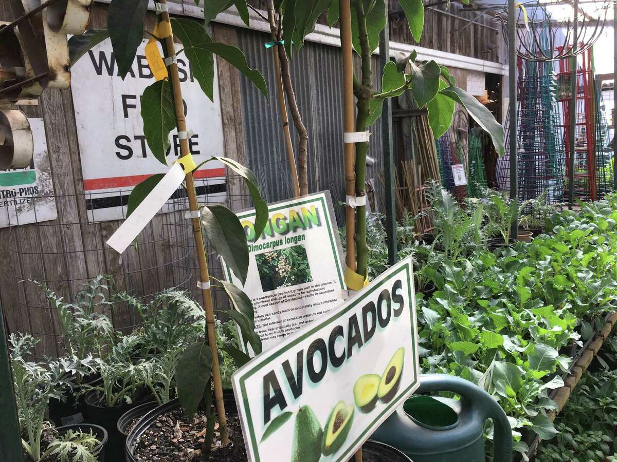 A tour of Wabash Feed & Garden Store on Washington Avenue
