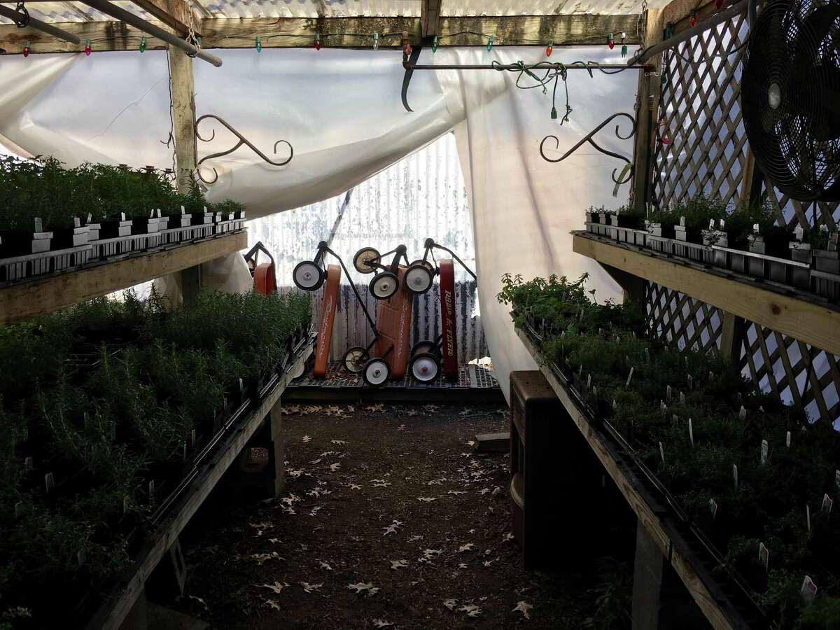 A tour of Wabash Feed & Garden Store on Washington Avenue