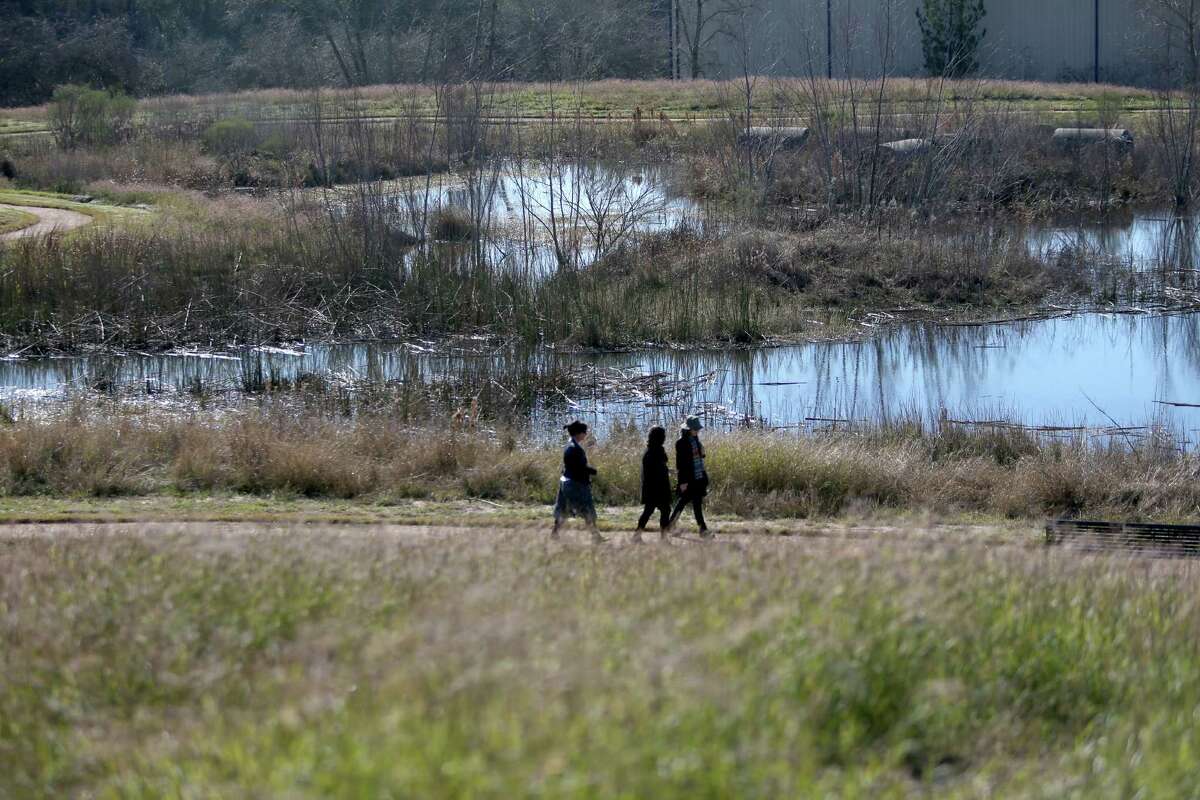 Walking trails at Buffalo Bend Nature Park Friday, Feb. 5, 2016, in Houston, Texas. The park's grand opening is Wednesday, Feb. 10, 2016. The park's wetlands is set up where water will flow from a cistern through a man made wetlands area eventually into the Buffalo Bayou. ( Gary Coronado / Houston Chronicle )