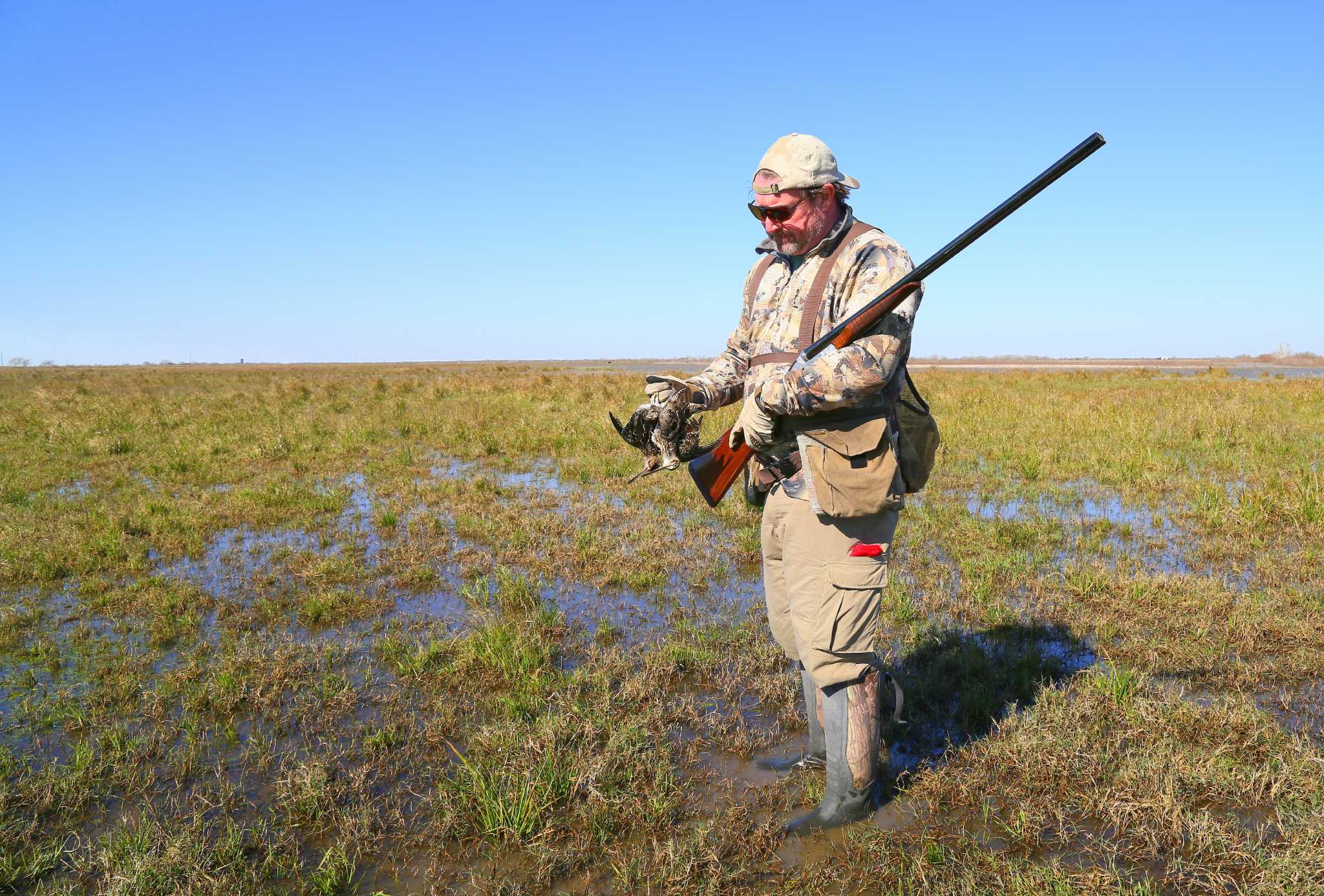 latham-s-snipe-no-second-chance-latham-s-snipe-gallinago-flickr