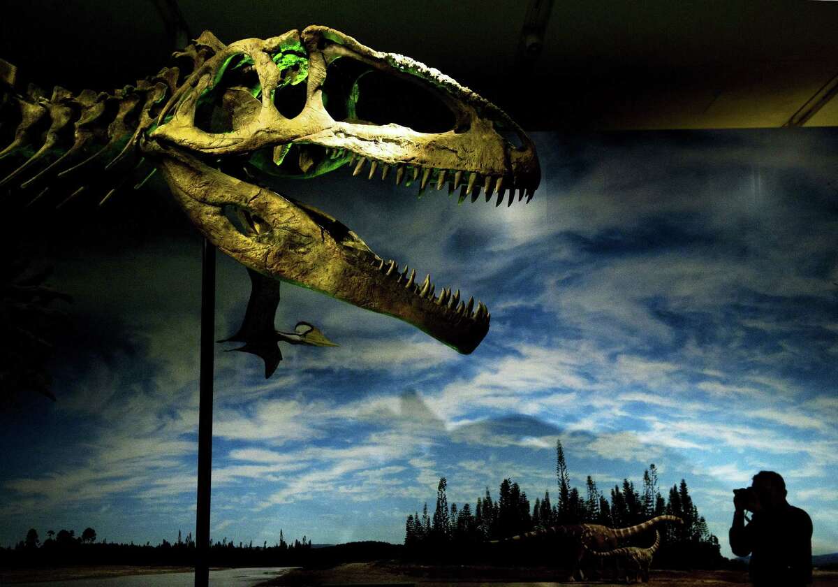 dinosaurs giants of patagonia giganotosaurus