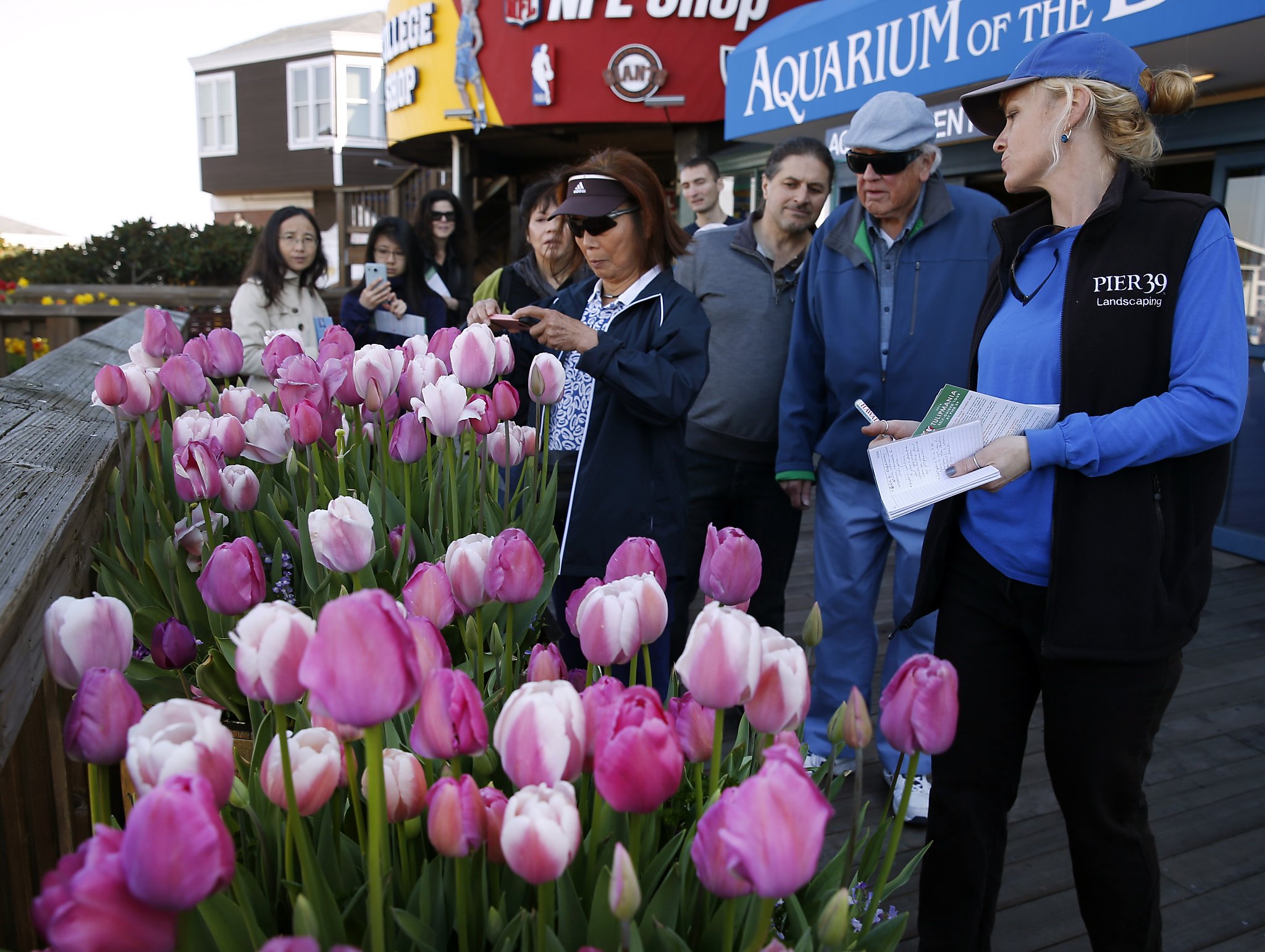 Colorful Blast Of Waterfront Tulips Is Valentine S Day Delight