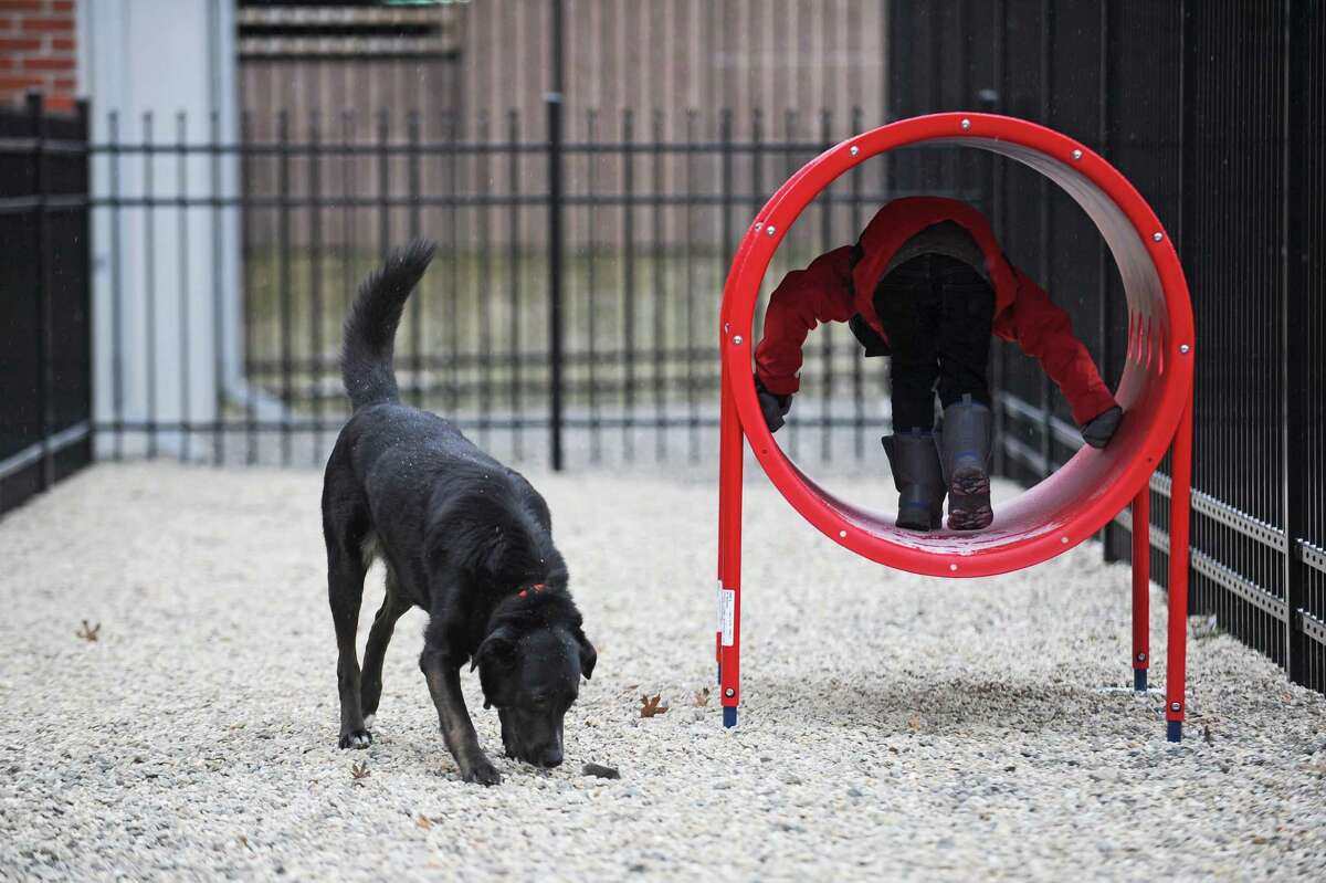 Stamford apartment complex builds private dog park