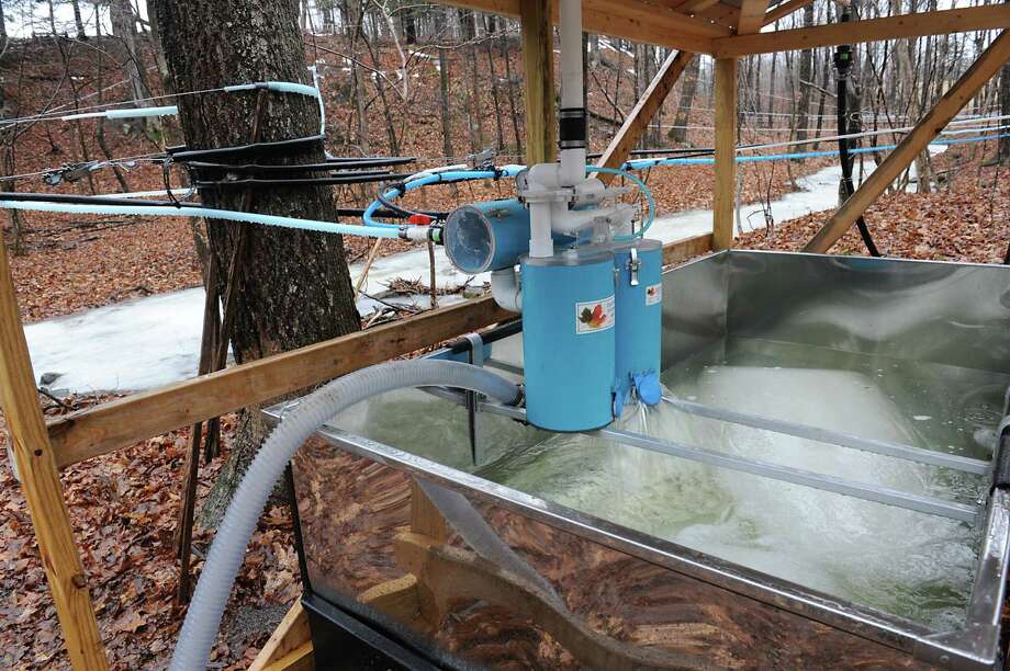 Maple sap season starting earlier, but lasting longer despite climate