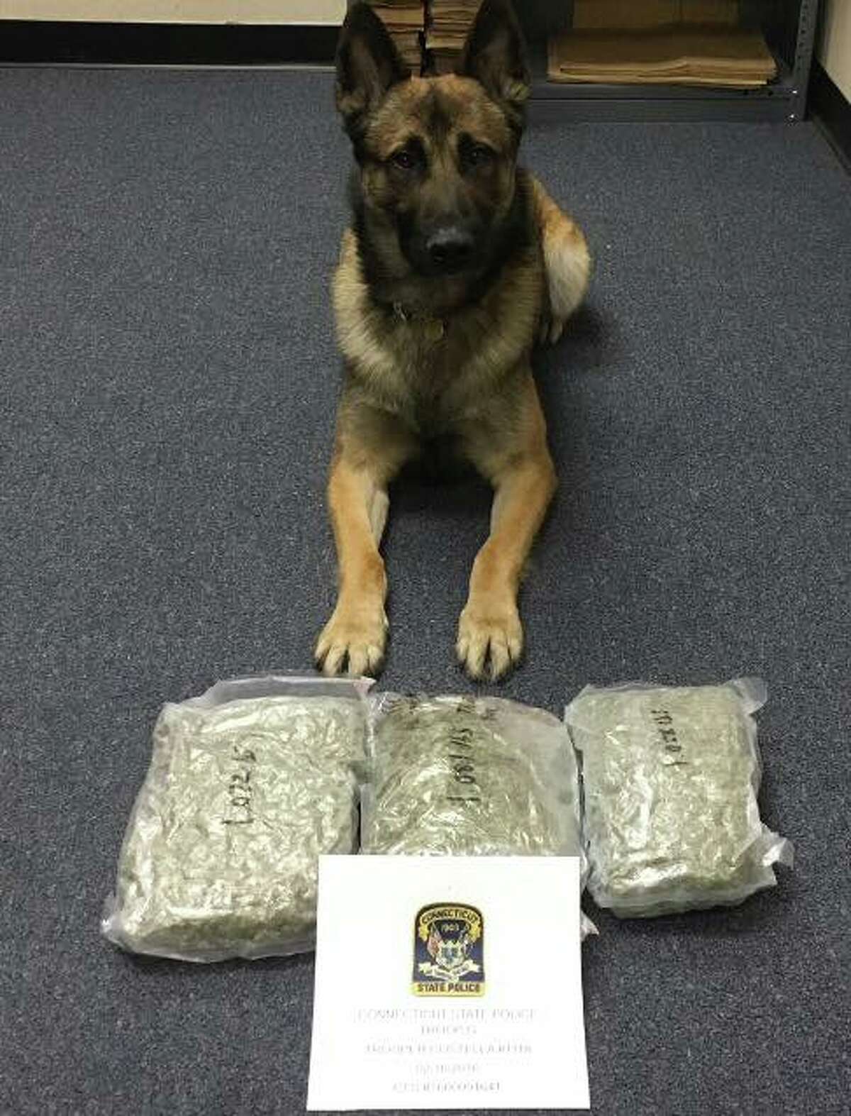 State Police K-9 “Nero,’’ with three pounds of suspected marijuana recovered in a motor vehicle stop in Stamford.