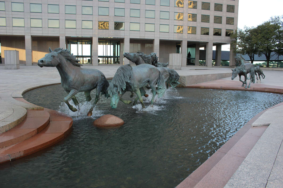 13. Irving (20,669 reviews and opinions) The top-rated things TripAdvisor travelers like to do include trips to the Mustangs of Las Colinas, the National Scouting Museum and the Irving Convention Center.