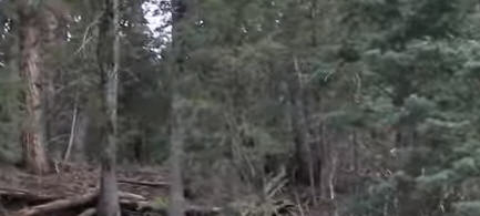 Bigfoot Claim Exposed As Hoax - CBS News