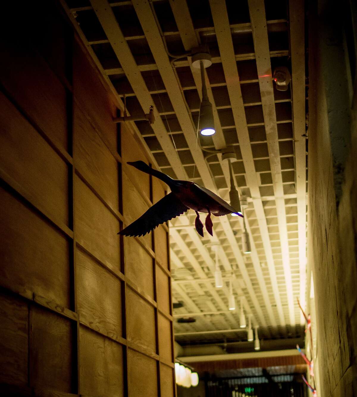 Bird Dog brings a slice of city style to Palo Alto