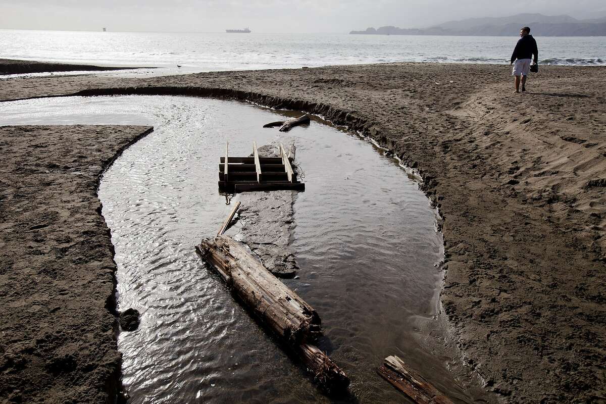 Kilo, a seven-year old Australian cattle dog, tastes the water from Lobos Creek at Baker Beach in San Francisco, Calif. on Wednesday, May 25, 2011. Lobos Creek recently received a letter 