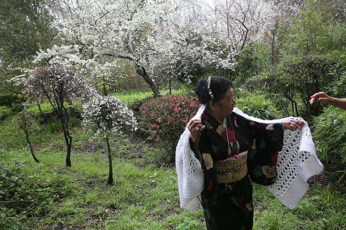 Maria Miyagi Bartuff, 85 years old, a survivor of the sinking of the Japanese freighter tsushima maru in 1944 when she was 13 years old shows her garden with her husband in San Anselmo, California, on Friday, February 19, 2016. The ship carried over 700 school children and was torpedoed by a U.S. submarine.