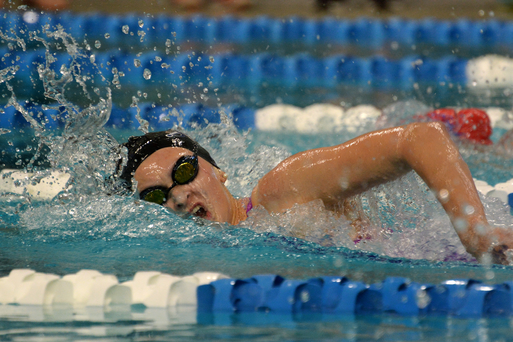 State swimming and diving meet: The Woodlands girls earn bragging ...