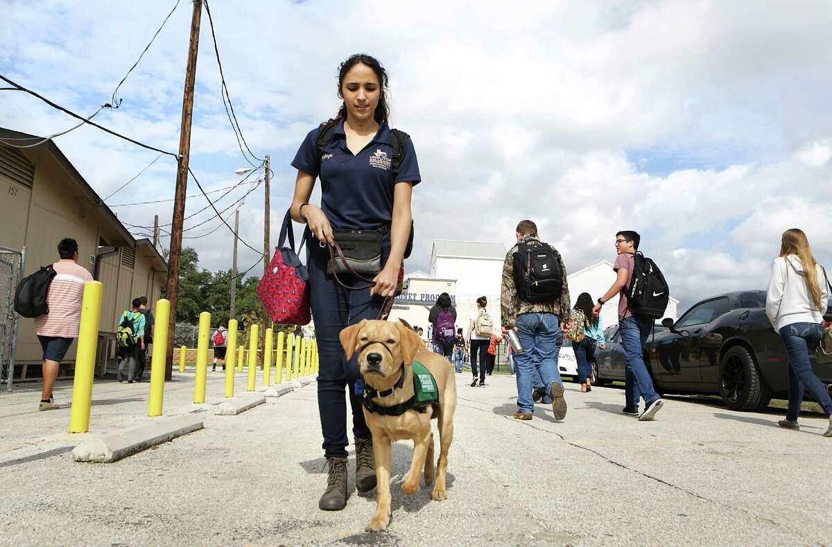 how long does it take to train guide dogs