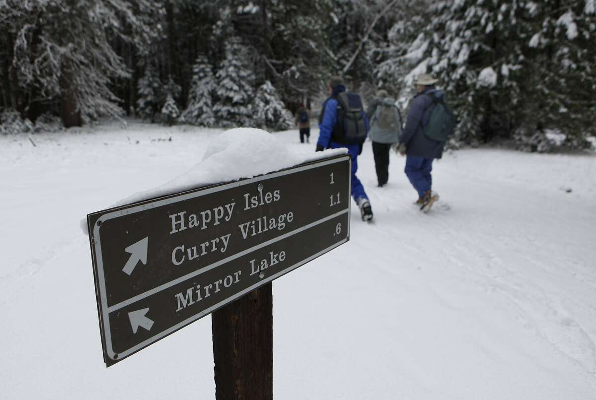 Bird count volunteers, Paul Oldale, Stanley Valim, Lowell Young, and Len McKenzie head down the snow covered trail towards Curry Village, looking for birds in snow covered Yosemite Valley on December 14, 2008.