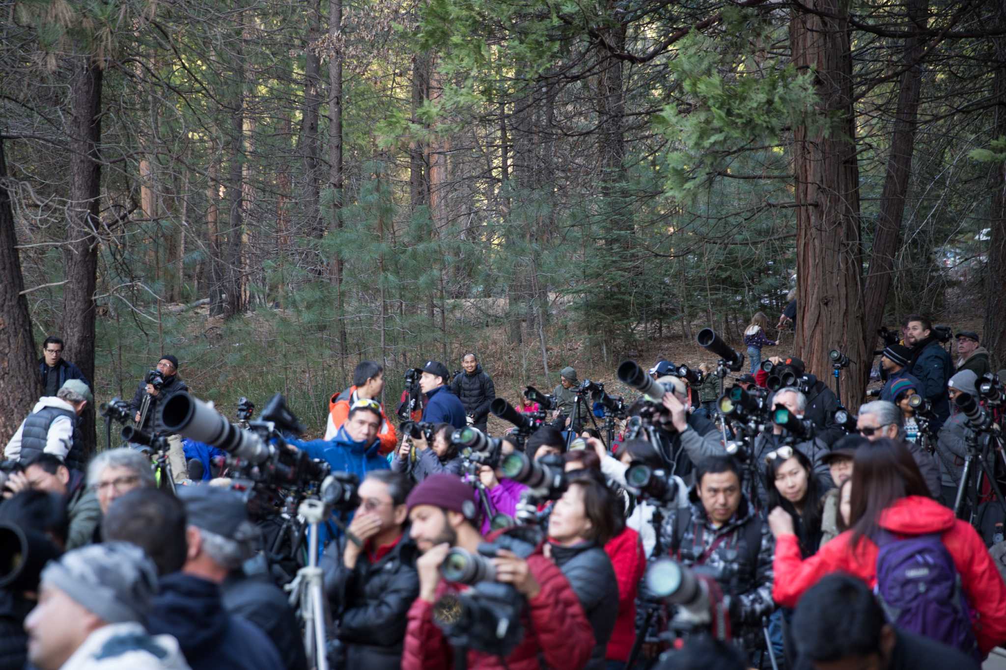 [Image: rawImage.jpg]