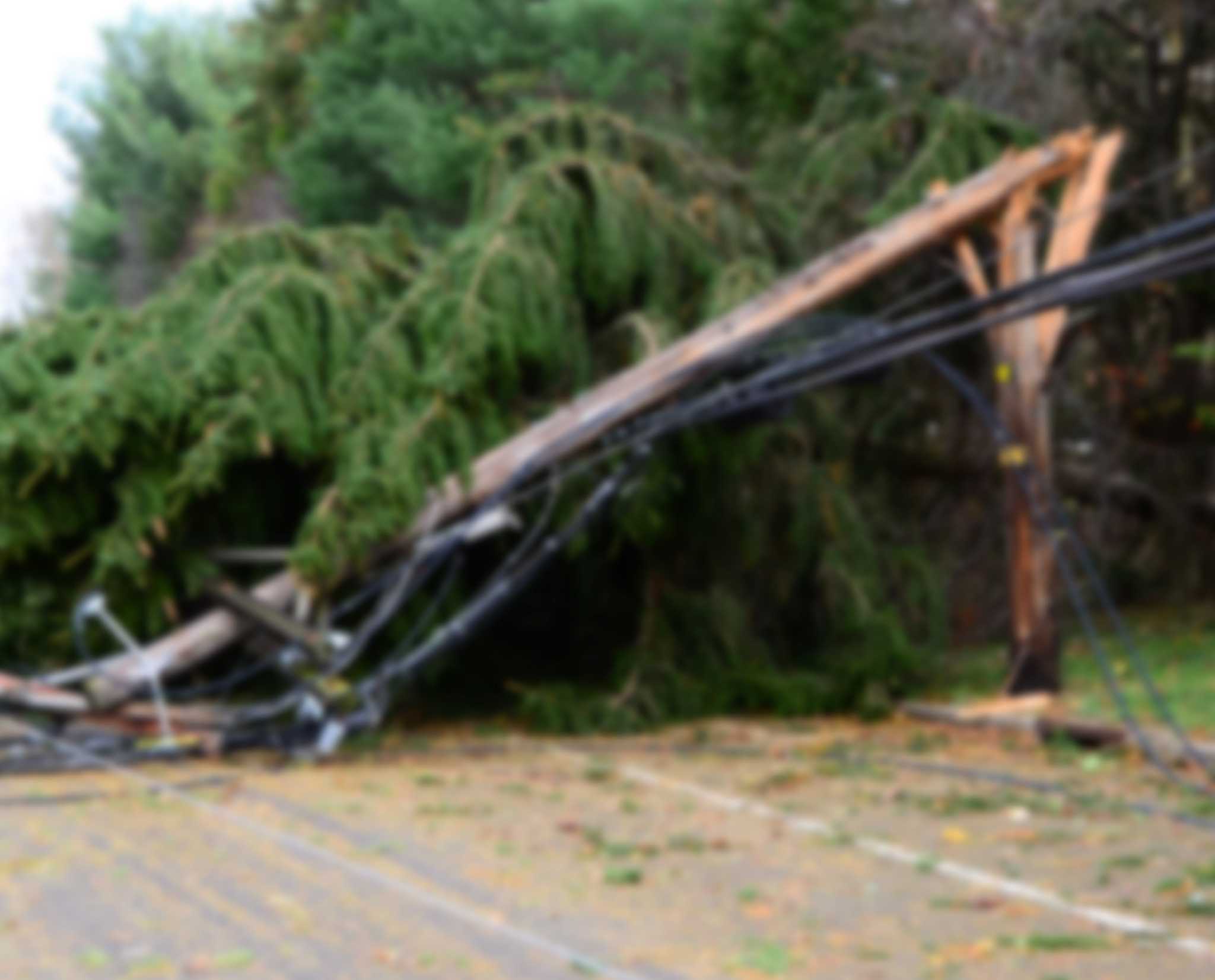 Storm Downs Trees And Wires In Newtown Knocking Out Power For Hundreds