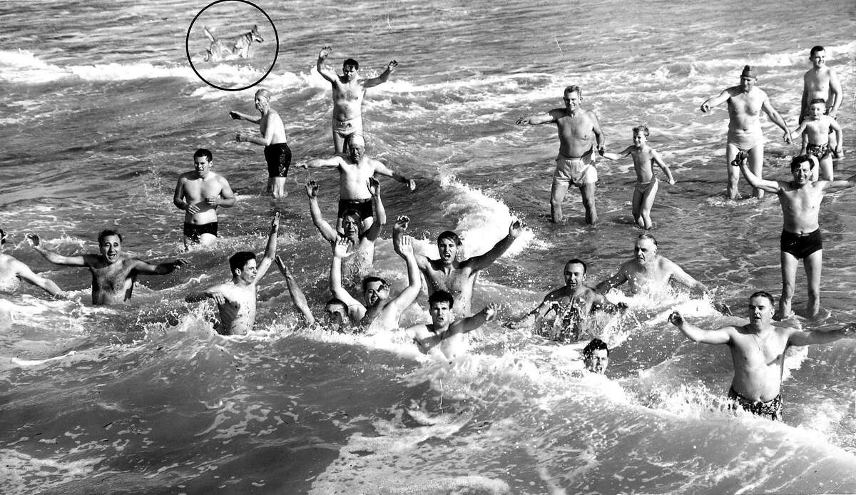 Taking the plunge: San Francisco swimwear through the decades