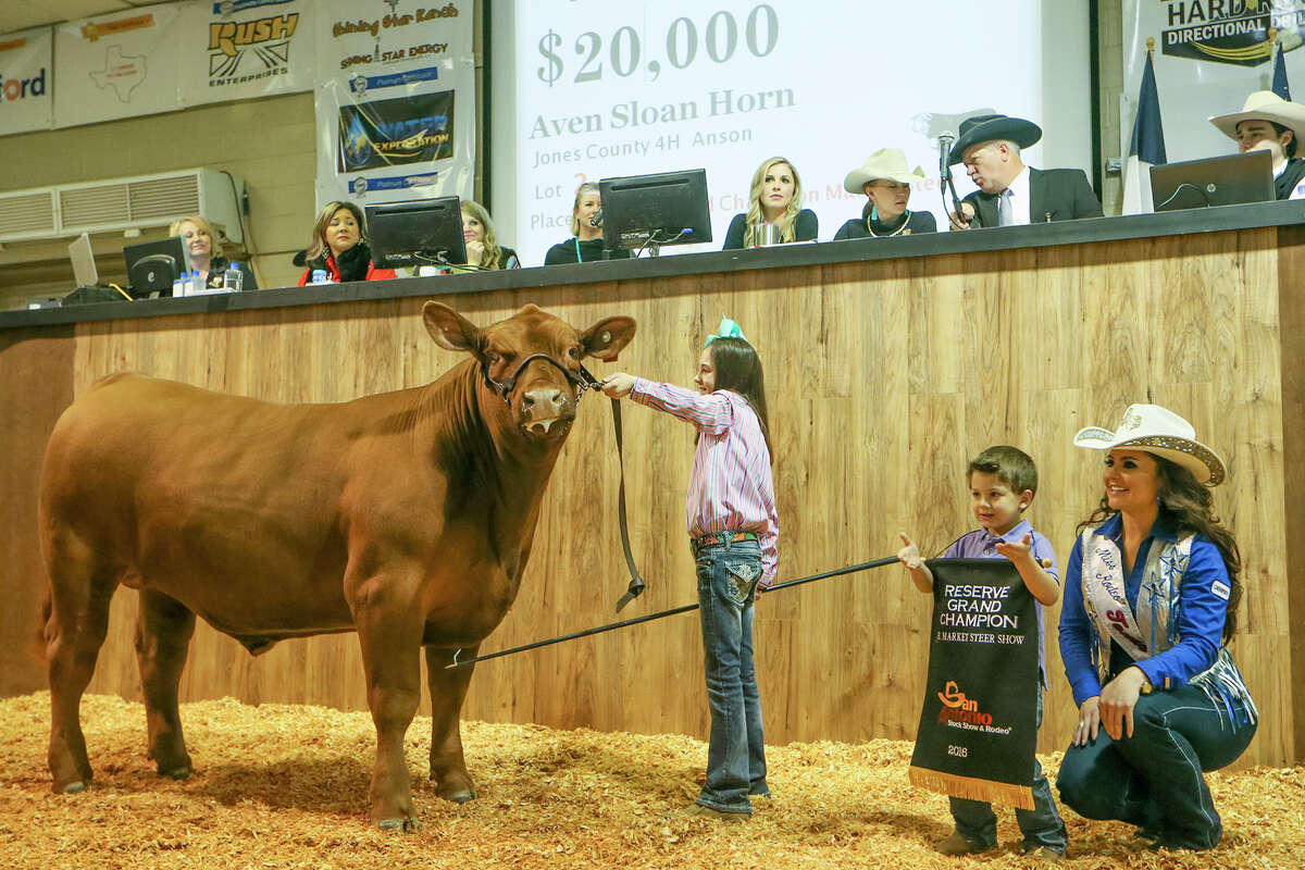 2016 San Antonio Stock Show & Rodeo grand champion steer goes for 105,000