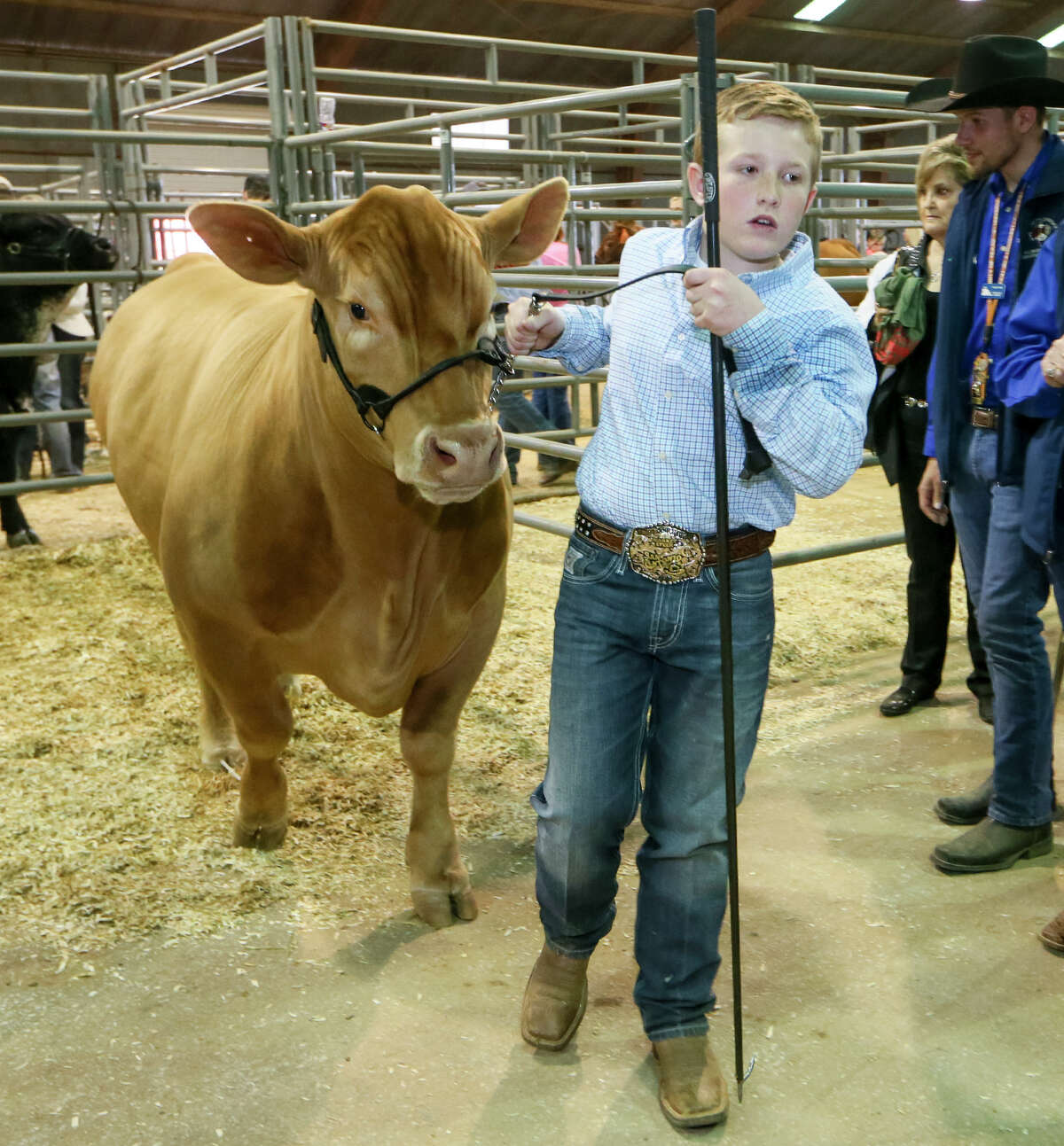 Tristan Himes, 11, from Sterling City, leads his Grand Champion Charolais steer, Nugget, to be photographed at the Freeman Coliseum Auction Barn on Saturday, Feb. 27, 2016. Nugget was sold for $105,000. MARVIN PFEIFFER/ mpfeiffer@express-news.net