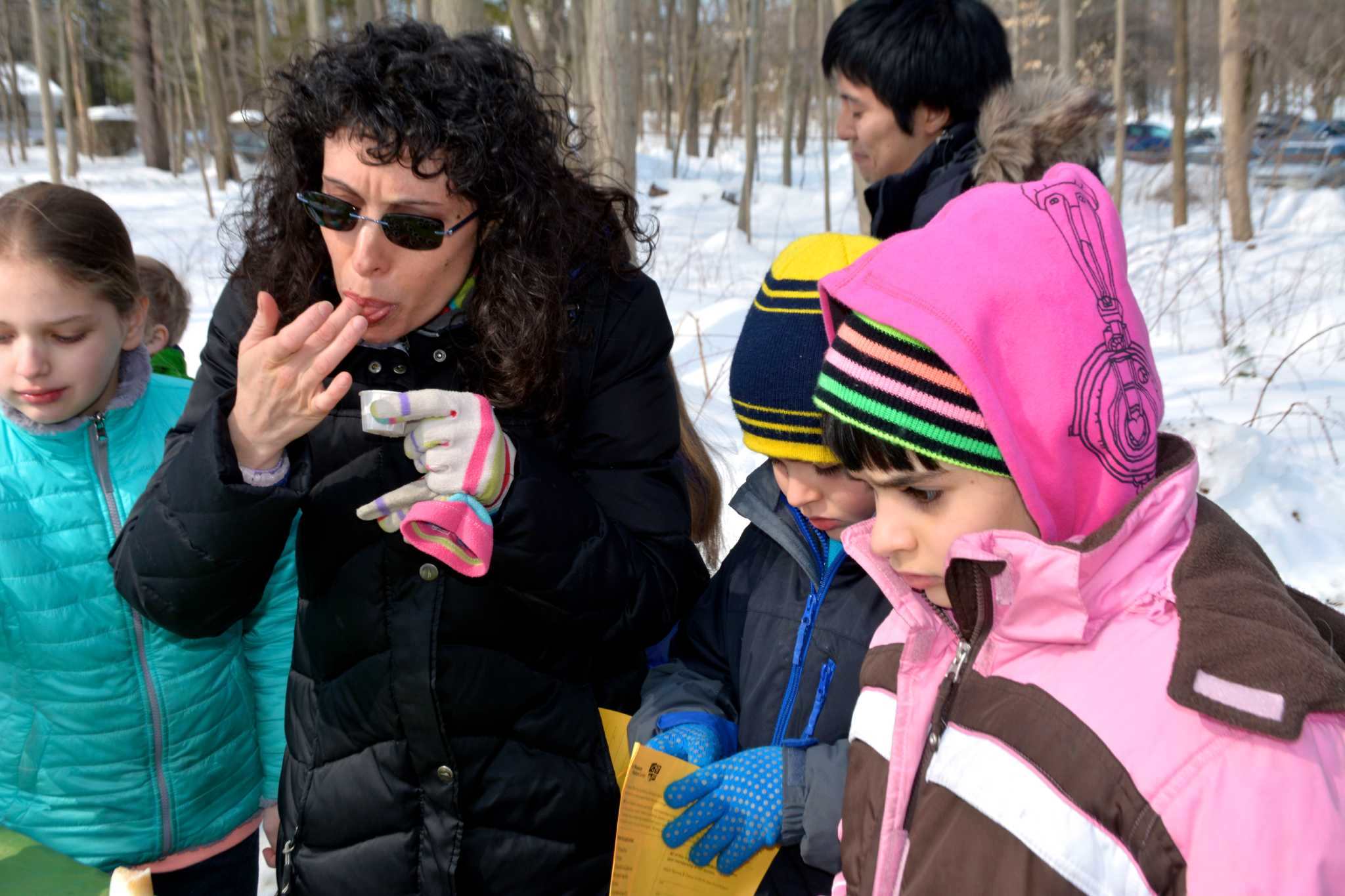 Maple Sugar Festival at Stamford farm