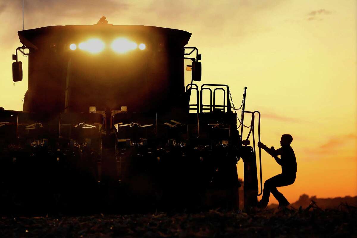 Acorn farmer, climbing onto his combine, is silhouetted against the setting sun while harvesting the 2014 corn crop. Midwestern states largely oppose the federal government’s Chesapeake Bay cleanup plan due to fears the government will impose similar regulations for the Mississippi river basin.