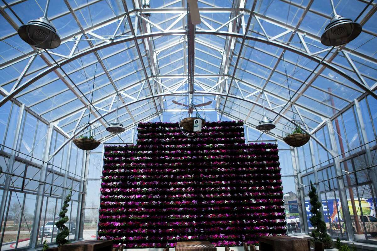 Q&A Rise Communities opens Cane Island in Katy