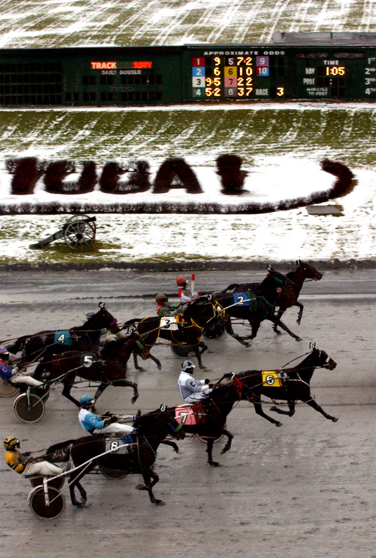 Saratoga Harness Schedule - 88ifn39