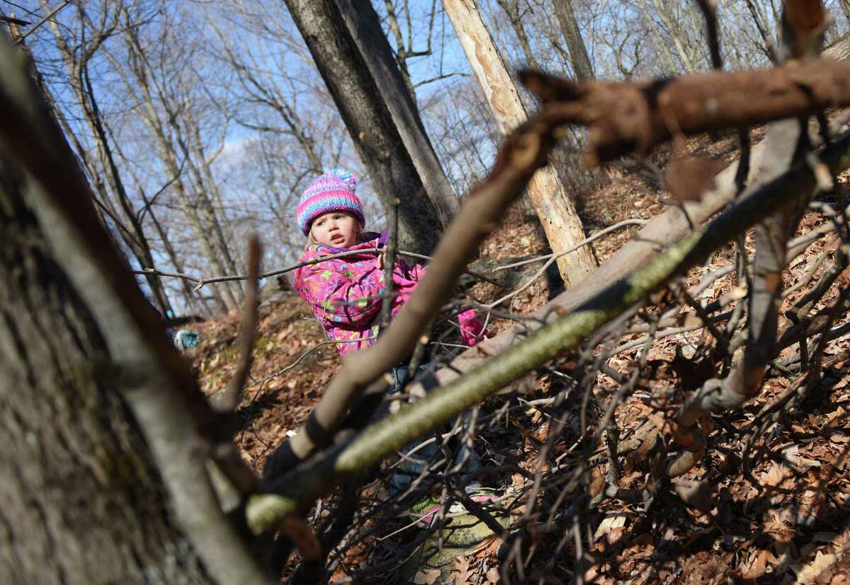Adrianna Perisa, 4, of Greenwich, adds sticks to a survival shelter during the Family Nature Play Series at Audubon Greenwich in Greenwich, Conn. Sunday, March 6, 2016. Taught by Education Coordinator Susan Matthews, families learned how to collect sticks to build a campfire and build a survival lean-to shelter. The Family Nature Play Series occurs on the first Sunday of every month and provides hands-on, educational activities for children and parents. The next two sessions will be wildlife tracking and a sensory nature hike.
