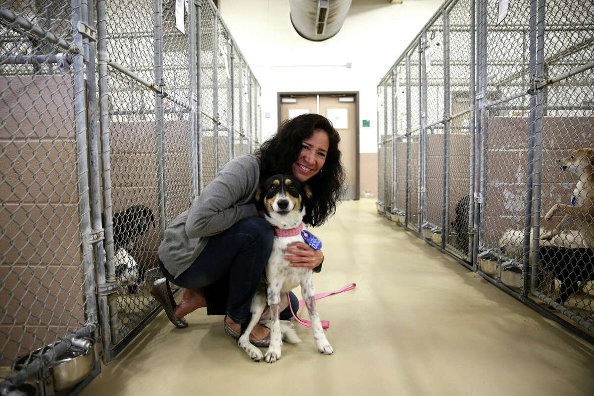 Martha Marquez Media Specialist for HCPHES, poses with a dog at the Harris County Animal Shelter on Friday, March 4, 2016, in Houston.