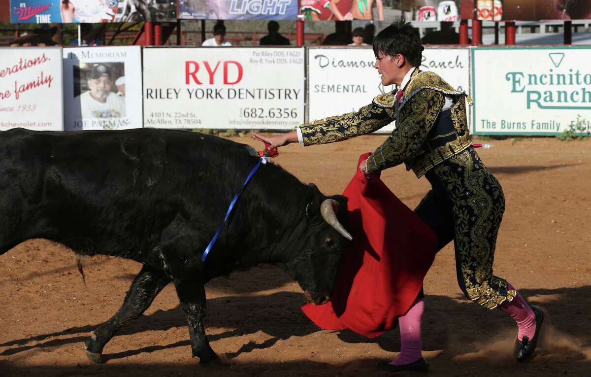 South Texas Bloodless Bullfighting Season Comes To End With Flair And Drama