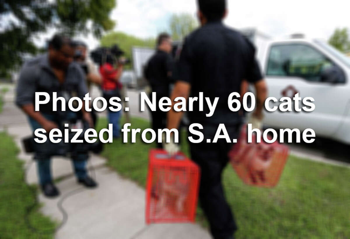 Click through the gallery to see photos from inside and outside a home in San Antonio where nearly 60 cats were seized on November 5, 2015.