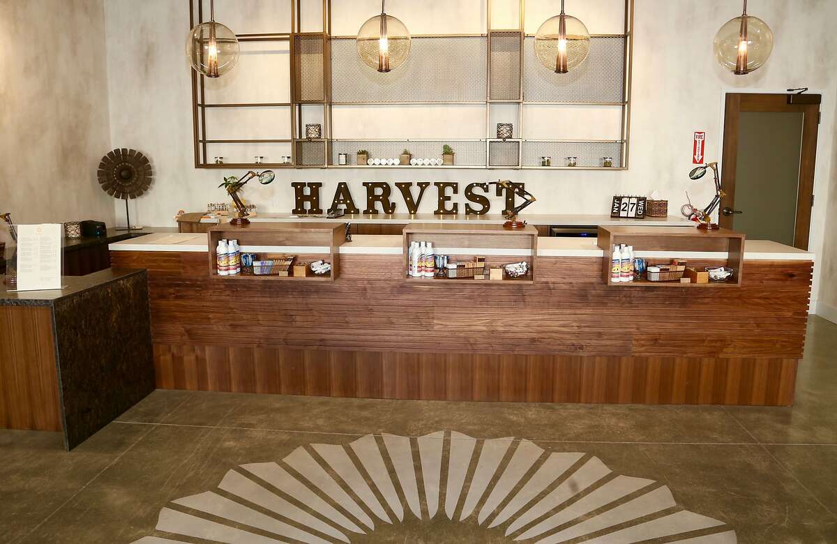 Harvest Retail Counter