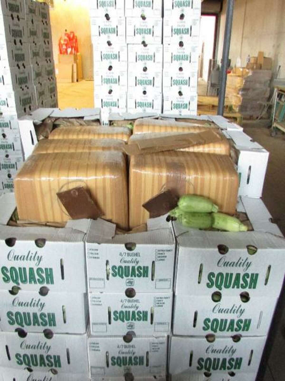 Authorities in Arizona found nearly $3 million worth of marijuana hidden in a truck hauling Italian squash last week, according to U.S. Customs and Border Protection.