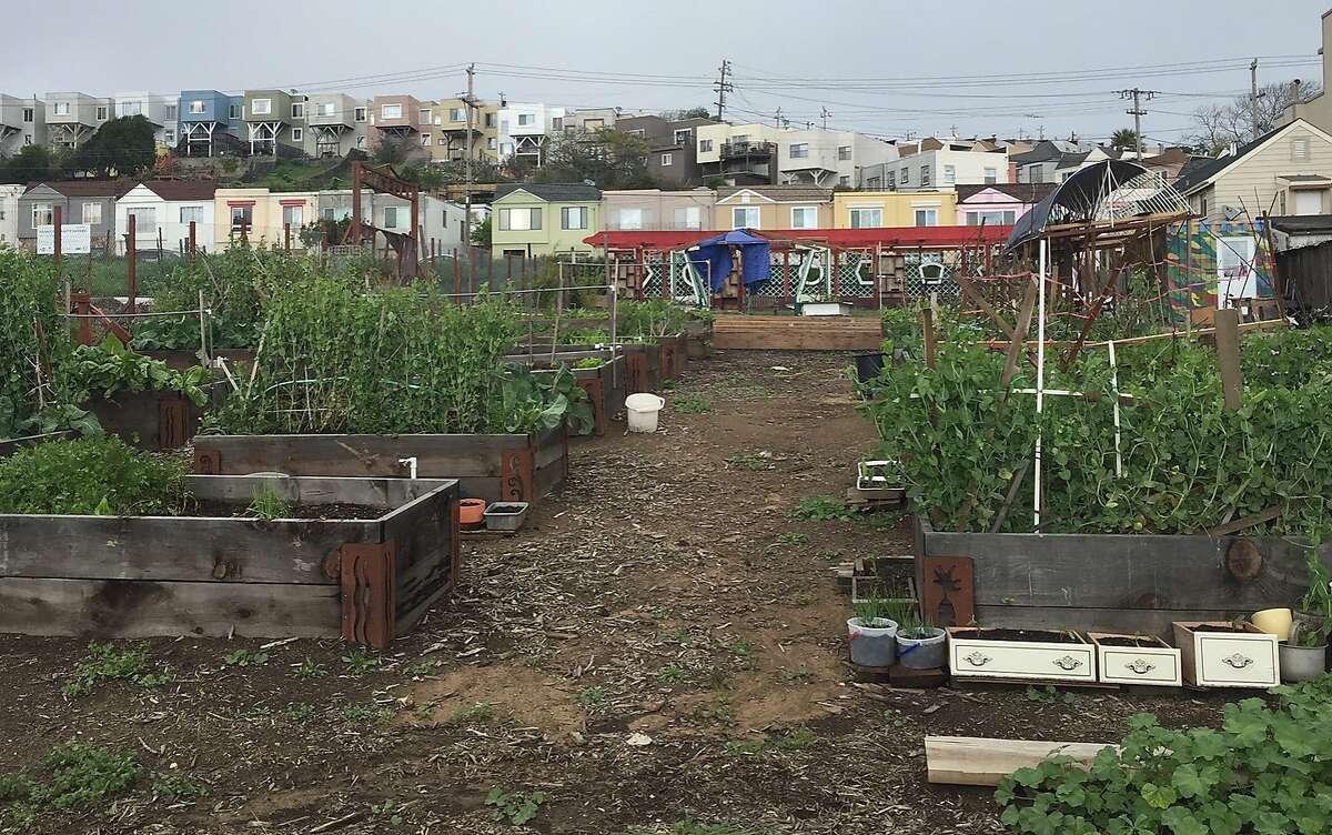 The last San Francisco farm's stubborn final years
