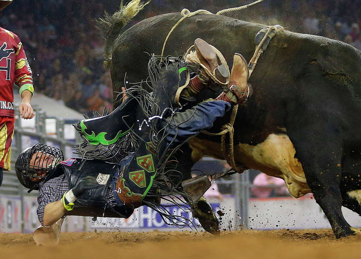 The Biggest Belts, Hats, and Logos We Saw at MSG's Bull-Riding Rodeo